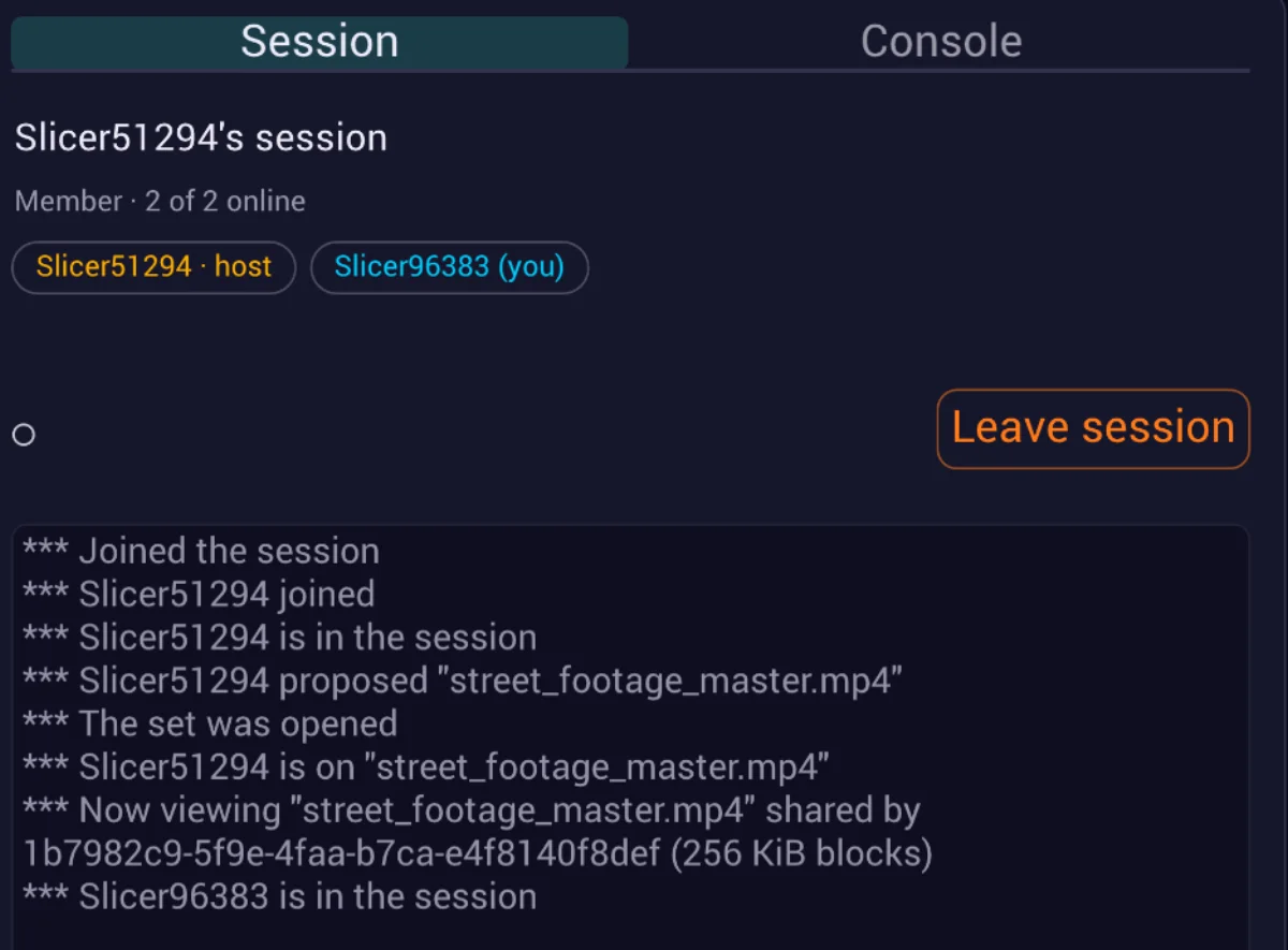 The session panel: two members online, the host and you, a leave button, and the log of the file being proposed, opened and shared in 256 KiB blocks.
